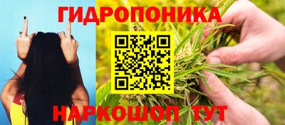 стаф Ипатово