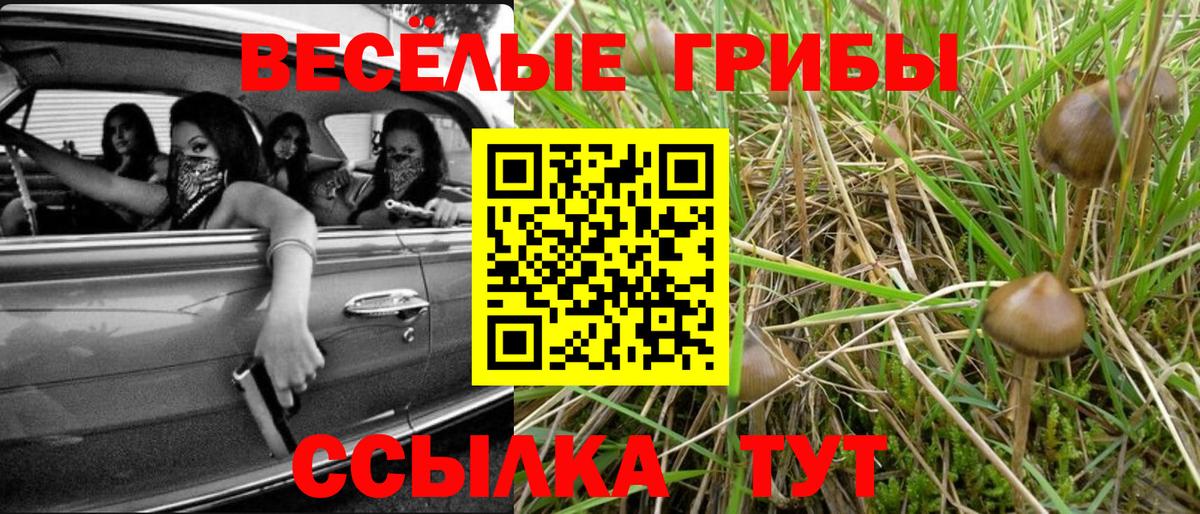 Лесной  цены наркотик  Вход с VPN  Галлюциногенные грибы Psilocybine cubensis 