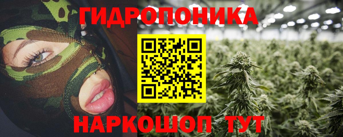 Бошки Шишки Amnesia  Вход с VPN  Шишки марихуана планчик  Лесной 